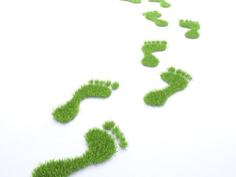 impronta ecologica