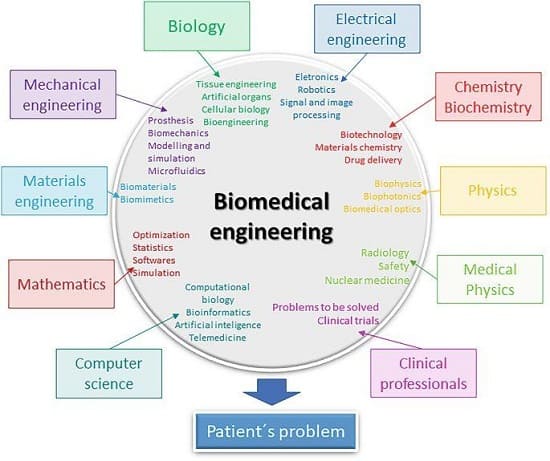 principali aree della bioingegneria