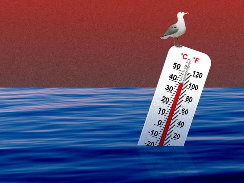 riscaldamento degli oceani