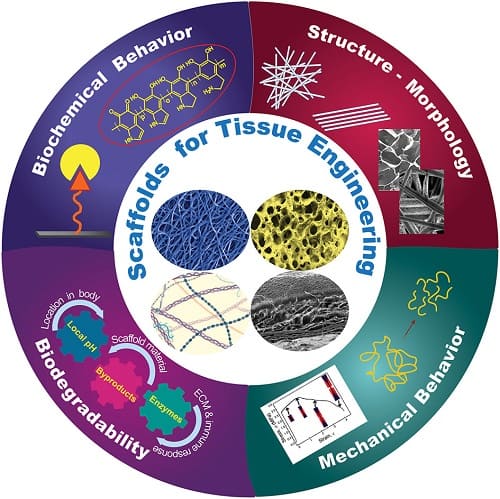 scaffold-di-biomateriali-nell'ingegneria-tissutale