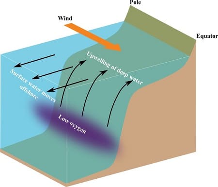 upwelling