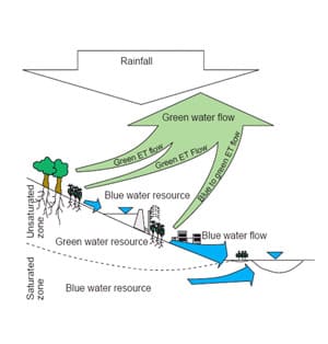 Acqua verde e blu