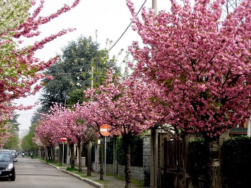 città giardino di Milanino