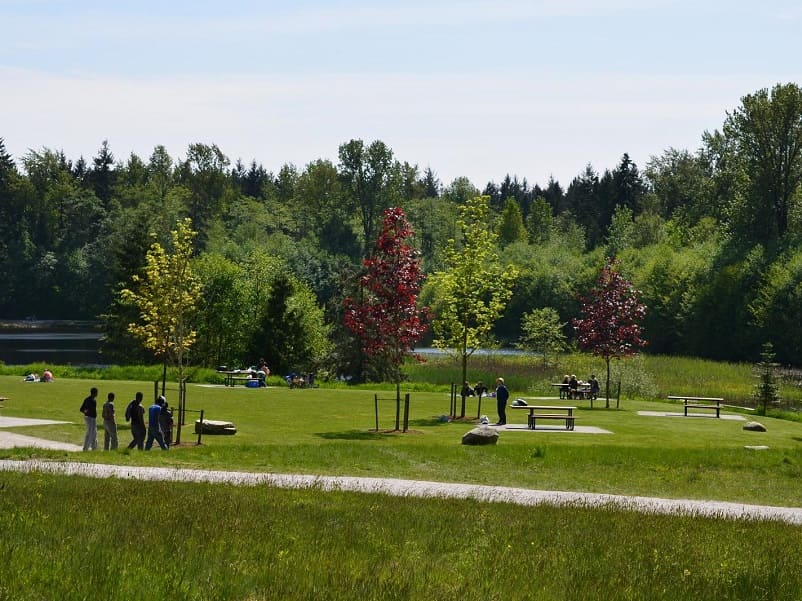 foresta urbana