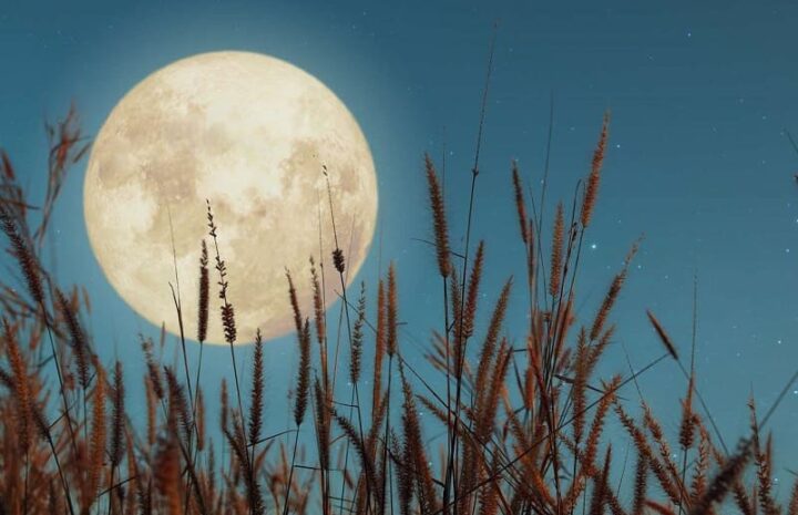luna del raccolto