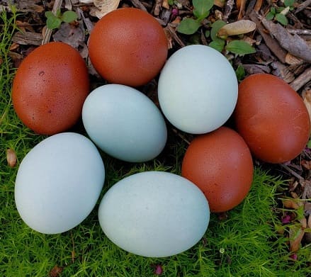 ruolo della chimica nella colorazione